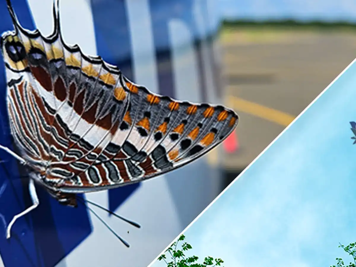 Airlink Achieves IATA Environmental Assessment Certification